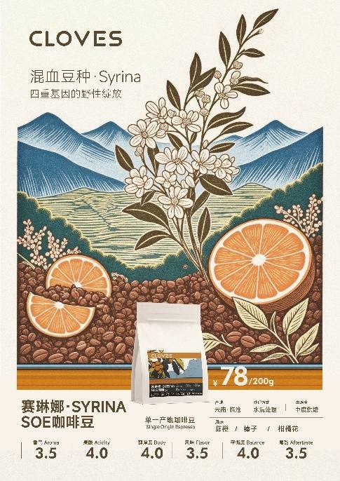 OVES赛琳娜·SYRINA邀你品鉴PG麻将胡了临沧的风土已酿成 CL