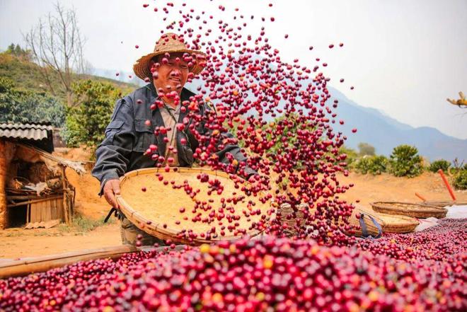 品 云南咖啡加快走向国际市场PG电子麻将胡了从原料到精