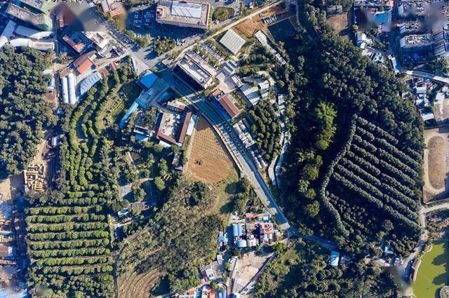 3年种植历史年产146万吨占比超98%PG麻将胡了中国咖啡产量第一大省：13(图2)