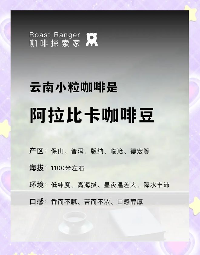彩云之南的馥郁传奇麻将胡了云南咖啡：(图12)
