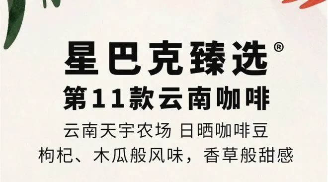 彩云之南的馥郁传奇麻将胡了云南咖啡：(图20)