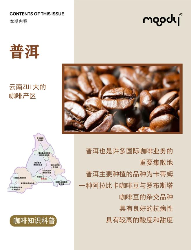 彩云之南的馥郁传奇麻将胡了云南咖啡：(图22)
